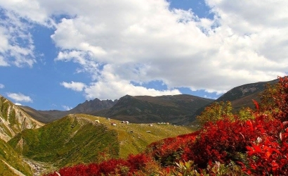 Çamlık Yaylası